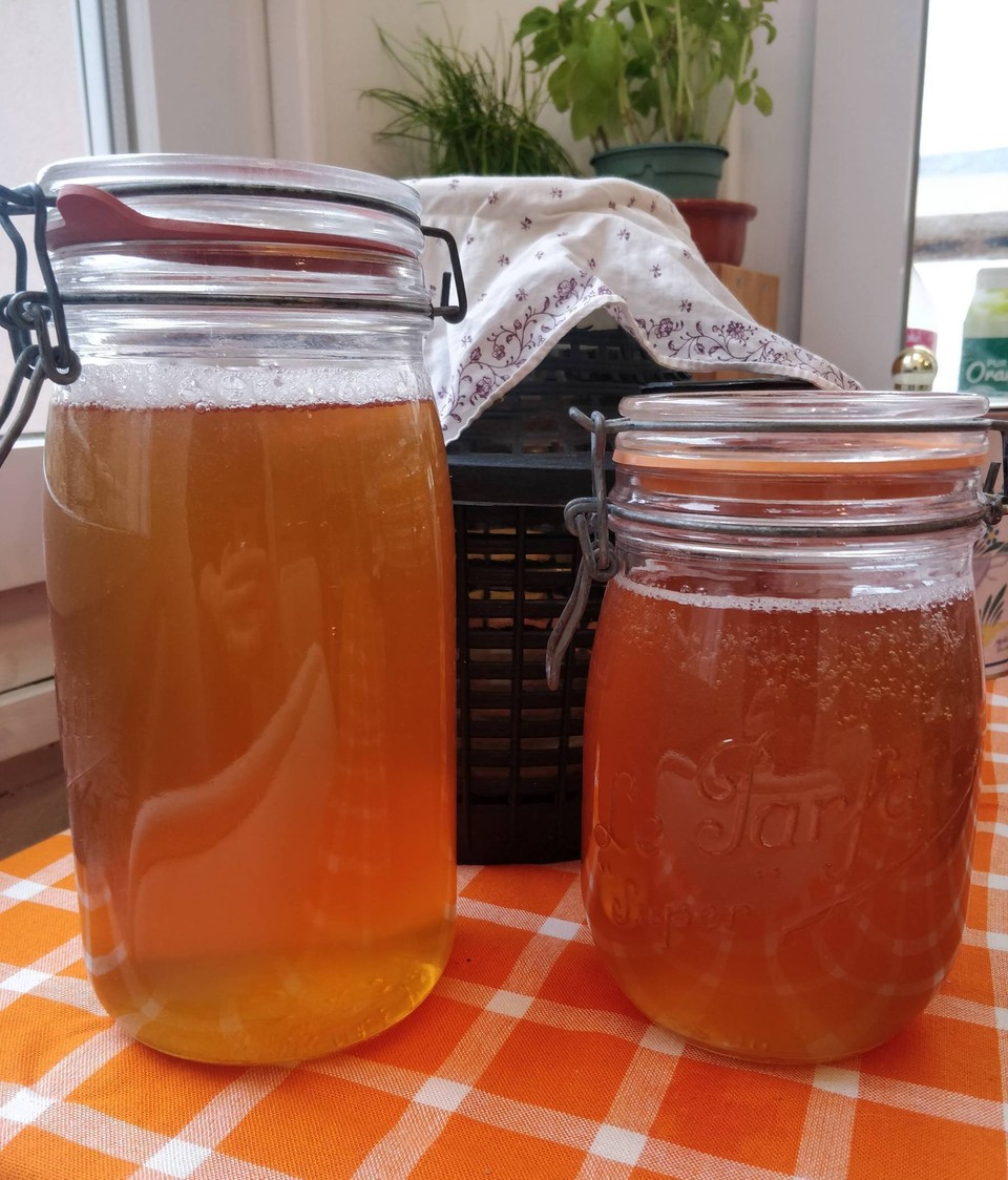 Kombucha